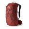 GREGORY vīriešu mugursoma CITRO 30 RC / Brick Red